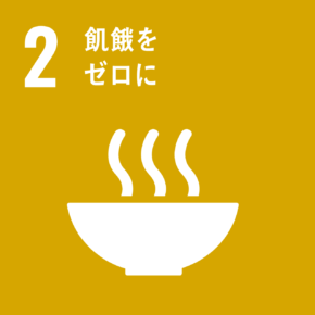 sdg2